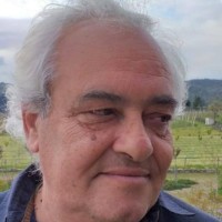 Luis Manuel Guimarães