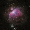 irene monteleone
