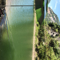 陈进林