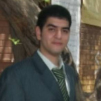 Ali Elgafy