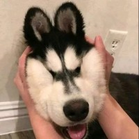 王中源