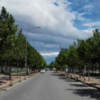 Li Emma