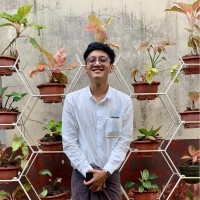 Shin Thant Bhone Naing