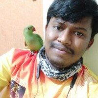 Dhananjaya A L