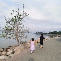 刘敏华