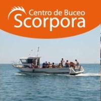 BUCEO SCORPORA