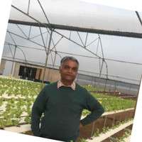 Magesh Kumar C Kumar