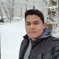 Joao Marcos silva