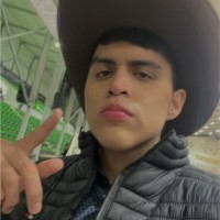 Oswaldo De Jesus Hernandez Morales