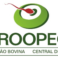 felipe costa gonçalves