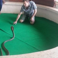 Anders Hagström