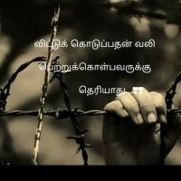 MD Arjun