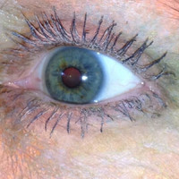 Christie Hodge