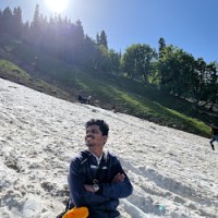 Vitesh Narvekar