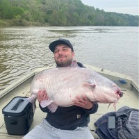 Matthew Mcclellan