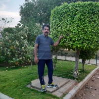 Anil P