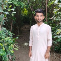 Tabassum Nawaz