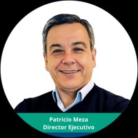 Patricio Meza Fuentes