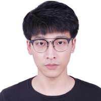 Wenqi Ren