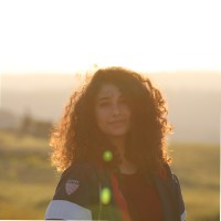 Mai Ajami