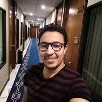 Adham Saeid Salama