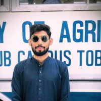 Malik Usama