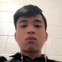 Vo Hoang