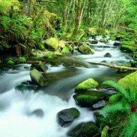 张建民
