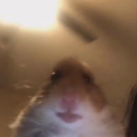 유기환