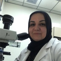 Luha Allawi
