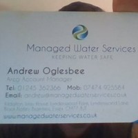Andrew Oglesbee