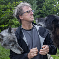 David Platts