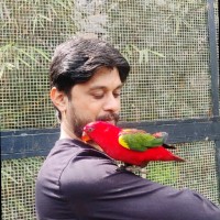 Anil Kumar
