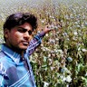 Shankar Verma