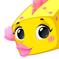 Boxfish Education