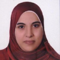 Wessam Mousa