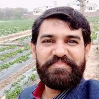 danish ahmed
