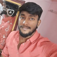 Sankara Narayanan M