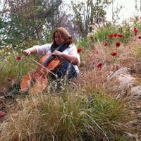 Linsay Setzer