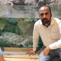 Amrut Navale