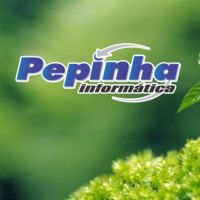 Assistencia Pepinha Informatica