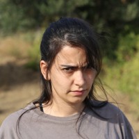 Seyma Kavak Gökçek