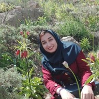 Elham Banavi