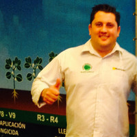 Felipe Borella Vignochi