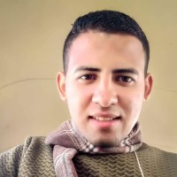 Ahmed Ismail Naser