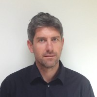 David Mannion