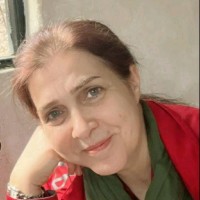 Robab Hamedi