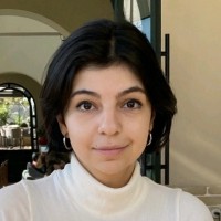 Niloufar Javadi Abhari