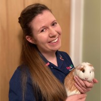 Nicole Bradley Rvn