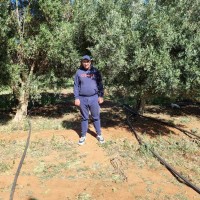 OussadoxM IssamBavra